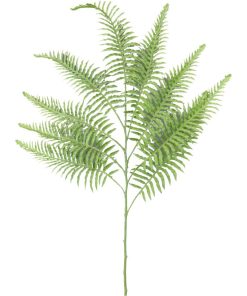 Boston Fern Spray – 37″