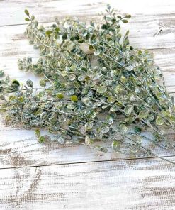 Glittered Boxwood Bush x 5 – 24″