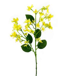 Yellow Tung Flower Stem – 25″